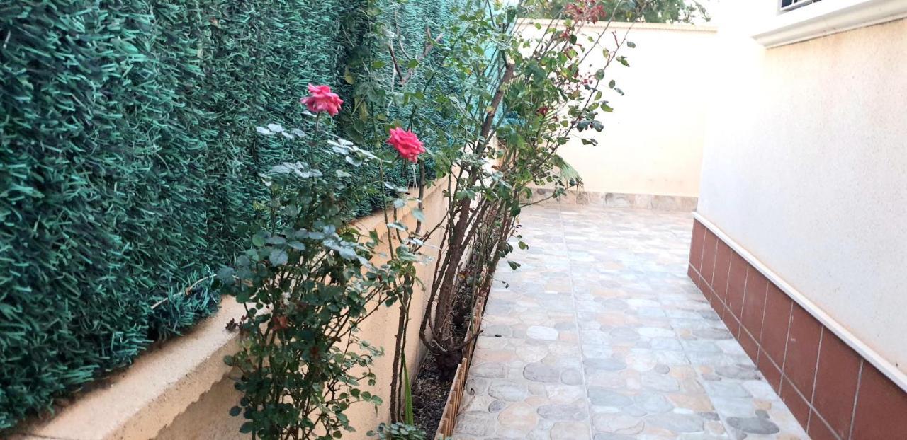 Arco Mediterraneo Chalet Independiente Torrevieja Dış mekan fotoğraf